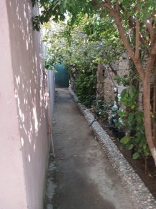 image 377064