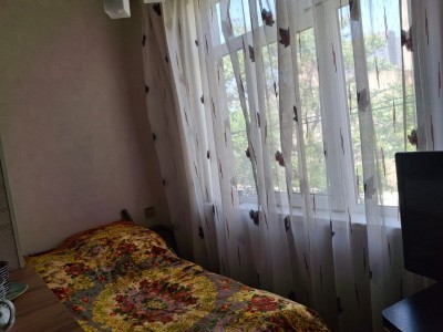 image 377068