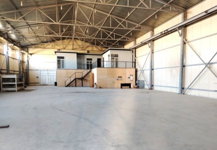 image 377081