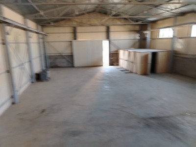image 377081
