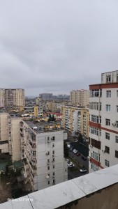 image 377109