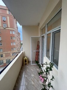 image 377131
