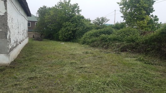 image 377132