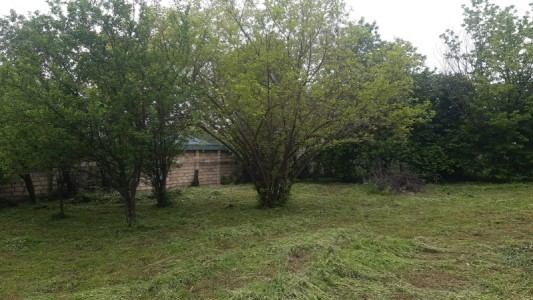 image 377132