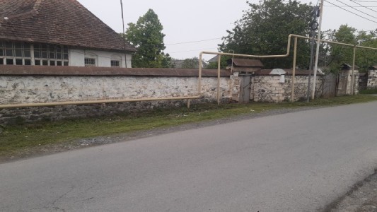 image 377132