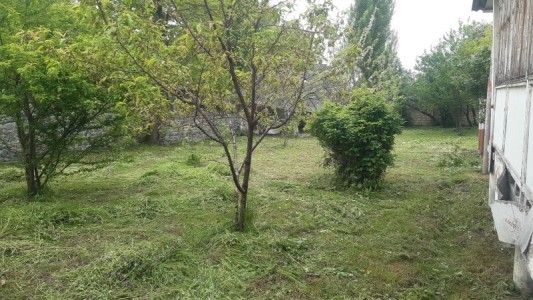 image 377132