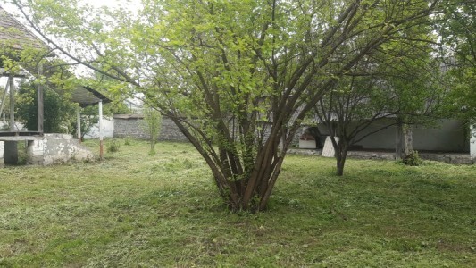 image 377132
