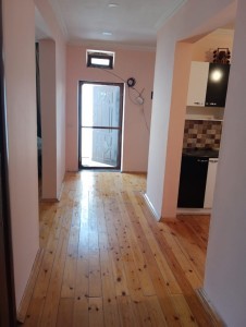 image 377141