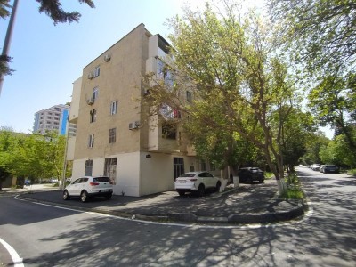 image 377150