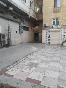 image 377161