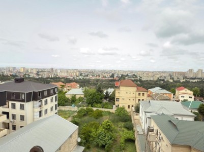 image 377172