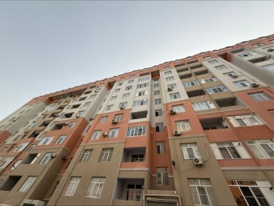 image 377176