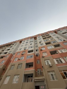 image 377176
