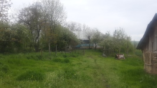 image 377179