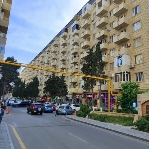 image 377183