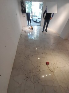 image 377186