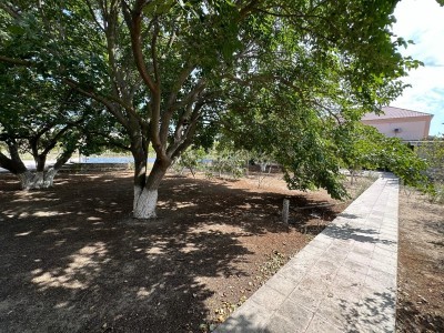 image 377217