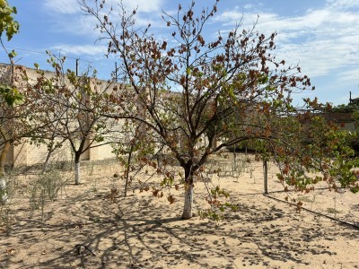 image 377217