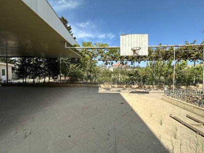 image 377217