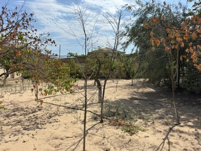 image 377217