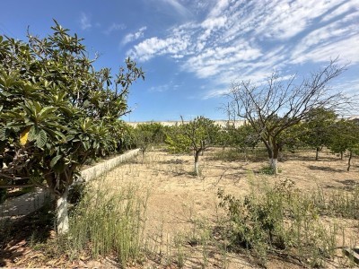 image 377217