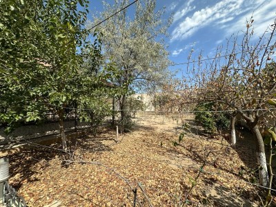 image 377217