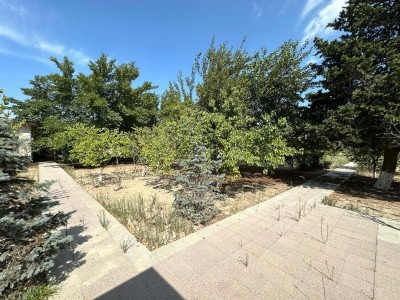 image 377217