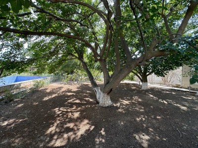 image 377217