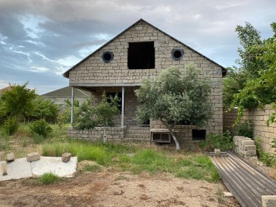 image 377219
