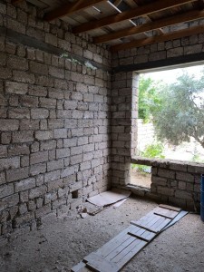 image 377219