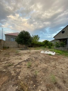 image 377219