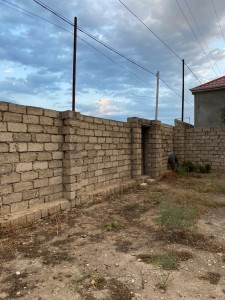 image 377219