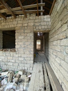 image 377219