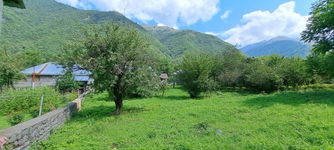 image 377222