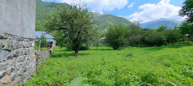 image 377222