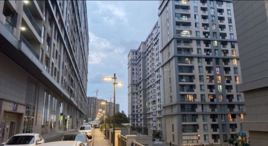 image 377229