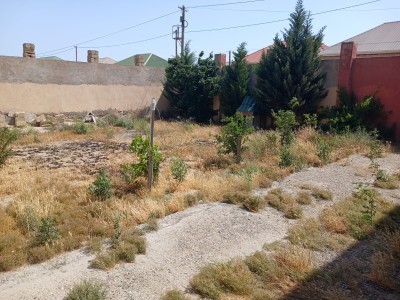 image 377232