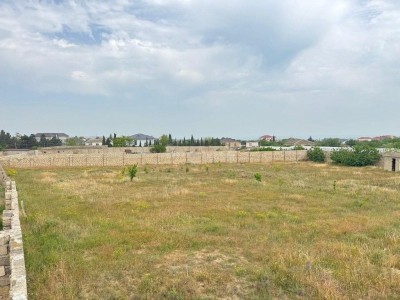 image 377238
