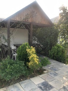 image 377240