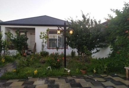 image 377240
