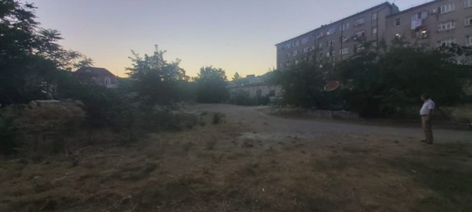 image 377245