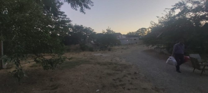image 377245