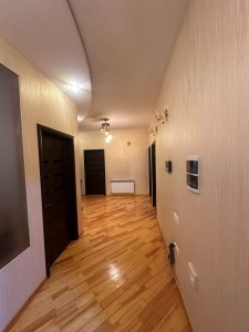 image 377246