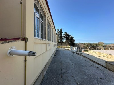 image 377247