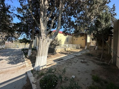 image 377247