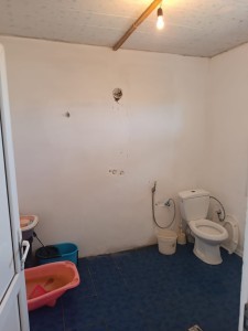 image 377250