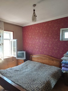 image 377250