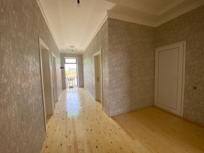image 377255