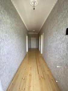image 377255