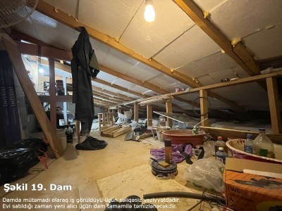 image 377256